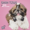 Image for Shih Tzus 2020 Square Wall Calendar