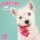 Image for Westies 2020 Square Wall Calendar