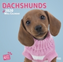 Image for Dachshunds 2020 Mini Wall Calendar