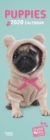 Image for Puppies 2020 Slim Calendar (Studio Pets)