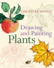 Image for Drawing and Painting Plants
