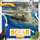 Image for Ocean Food Webs