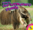 Image for El oso hormiguero gigante