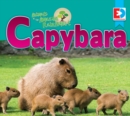Image for Animals of the Amazon Rainforest: Capybara