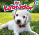 Image for My Labrador