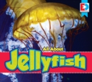 Image for All About Jellyfish