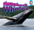 Image for Humpback whales