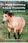 Image for Pony Trekking Across Goonhilly