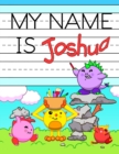 Image for My Name is Joshua