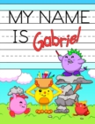 Image for My Name is Gabriel