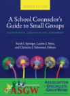 Image for School Counselor&#39;s Guide to Small Groups : Coordination, Leadership, and Assessment