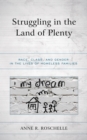 Image for Struggling in the land of plenty: race, class, and gender in the lives of homeless families