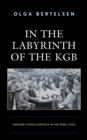 Image for In the labyrinth of the KGB: Ukraine&#39;s intelligentsia in the 1960s-1970s