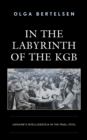 Image for In the labyrinth of the KGB  : Ukraine&#39;s intelligentsia in the 1960s-1970s