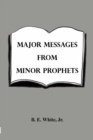 Image for Major Messages from Minor Prophets