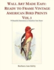 Image for Wall Art Made Easy : Ready to Frame Vintage American Bird Prints Vol 3: 30 Beautiful Illustrations to Transform Your Home
