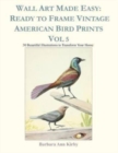 Image for Wall Art Made Easy : Ready to Frame Vintage American Bird Prints Vol 5: 30 Beautiful Illustrations to Transform Your Home