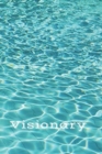 Image for Visionary