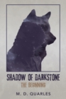 Image for Shadow of Darkstone : The Beginning