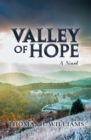 Image for Valley of Hope: A Novel
