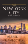 Image for New York City: In Small Spaces