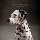 Image for The Year of the Dogs 2021 Wall Calendar