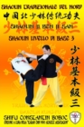 Image for Shaolin Tradizionale del Nord Vol.3
