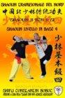 Image for Shaolin Tradizionale del Nord Vol.4