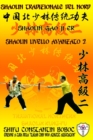 Image for Shaolin Tradizionale del Nord Vol.9 : Livello Istruttore - Lao Shi 1