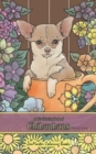 Image for Adult Coloring Book of Chihuahuas travel size