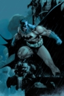 Image for Absolute Batman: Hush