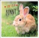 Image for Love is a Bunny : A Bun-derful Celebration of the World&#39;s Cutest Rabbits