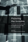 Image for Picturing the invisible  : exploring interdisciplinary synergies from the arts and the sciences