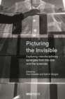 Image for Picturing the invisible: exploring interdisciplinary synergies from the arts and the sciences