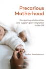 Image for Precarious Motherhood