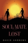 Image for Soul Mate Lost