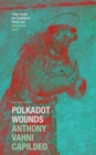 Image for Polkadot Wounds