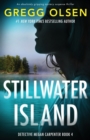 Image for Stillwater Island : An absolutely gripping mystery suspense thriller