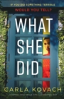 Image for What She Did : A gripping crime thriller with a jaw-dropping twist