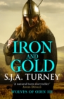 Image for Iron and gold : 3