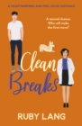 Image for Clean Breaks : 3