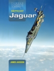 Image for SEPECAT Jaguar