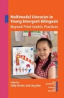 Image for Multimodal literacies in young emergent bilinguals  : beyond print-centric practices
