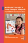 Image for Multimodal Literacies in Young Emergent Bilinguals: Beyond Print-Centric Practices