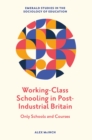 Image for Working-Class Schooling in Post-Industrial Britain: Only Schools and Courses