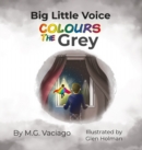 Image for Big Little Voice