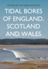Image for Tidal bores of England, Scotland and Wales: viewing tips and sightseeing ideas