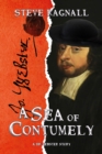 Image for A Sea of Contumely: A Dr Webster Story