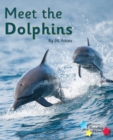 Image for Meet the dolphins