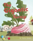 Image for The gigantic turnip